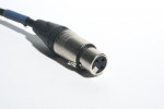 18'' XLR Cable #1