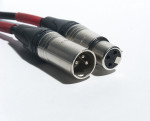 25' XLR Cable #1